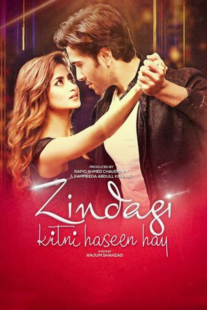 Zindagi Kitni Haseen Hay's poster