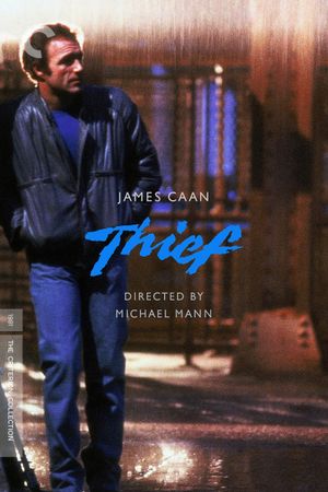 Thief's poster