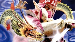 Ninja Kill's poster
