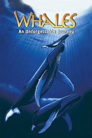 Whales: An Unforgettable Journey's poster