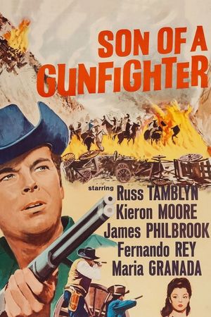 Son of a Gunfighter's poster
