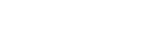 Vehicle 19's poster