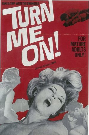 Turn Me On!'s poster image