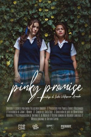 Pinky Promise's poster