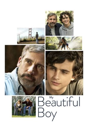 Beautiful Boy's poster