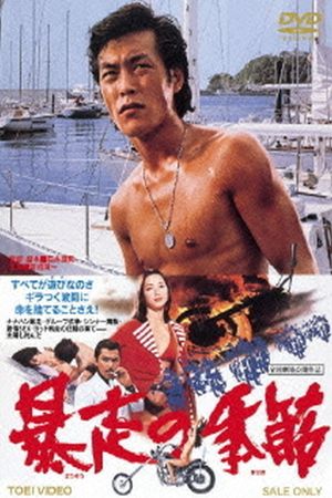 Boso no kisetsu's poster