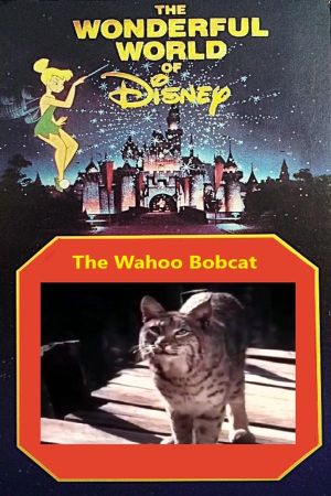 The Wahoo Bobcat's poster