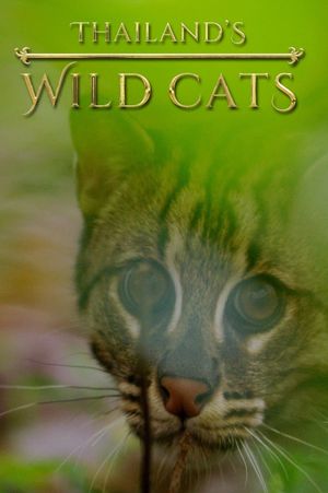 Thailand's Wild Cats's poster