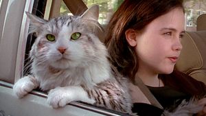 That Darn Cat's poster