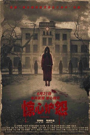 惊心妒怨's poster