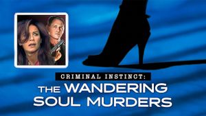 The Wandering Soul Murders's poster