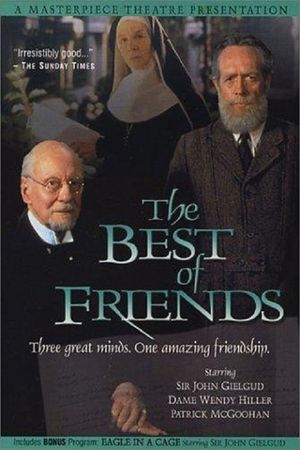 The Best of Friends's poster image