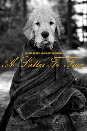 A Letter to True's poster