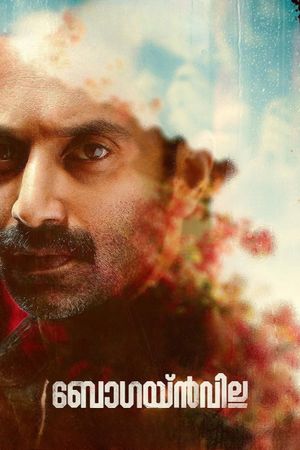 Bougainvillea's poster