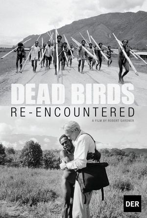 Dead Birds Re-Encountered's poster