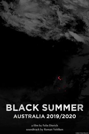 Black Summer's poster