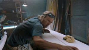 Lords of Dogtown's poster