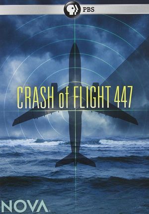 Crash of Flight 447's poster image