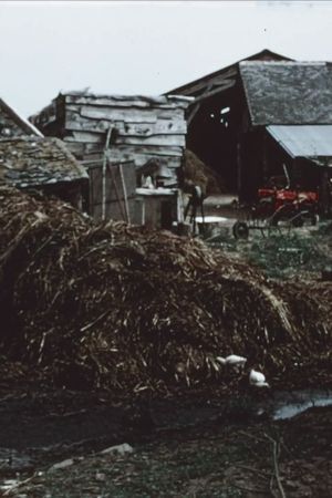 The Mud House's poster