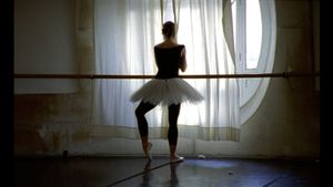 La Danse: The Paris Opera Ballet's poster