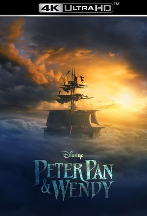 Peter Pan & Wendy's poster