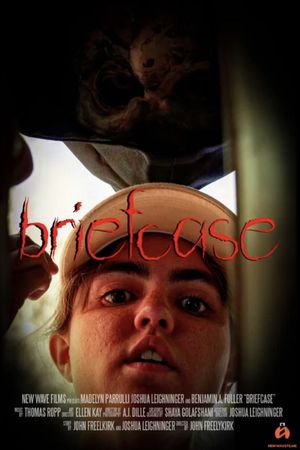 Briefcase's poster