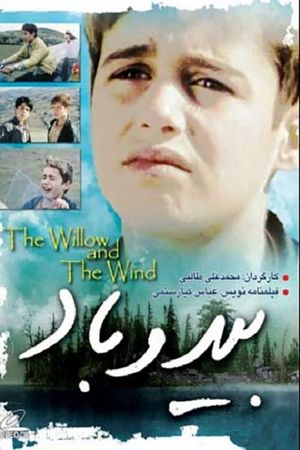 Willow and Wind's poster