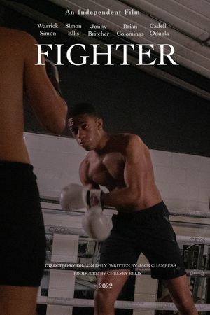 Fighter's poster