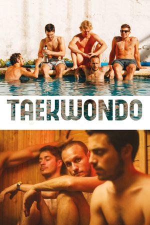 Taekwondo's poster