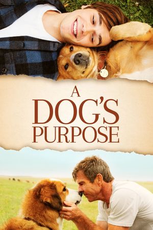 A Dog's Purpose's poster