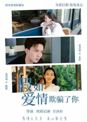 假如爱情欺骗了你's poster