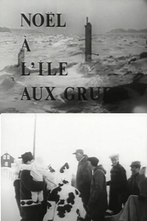 Noël à l’Île aux Grues's poster