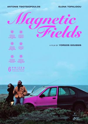 Magnetic Fields's poster