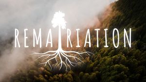 Rematriation's poster