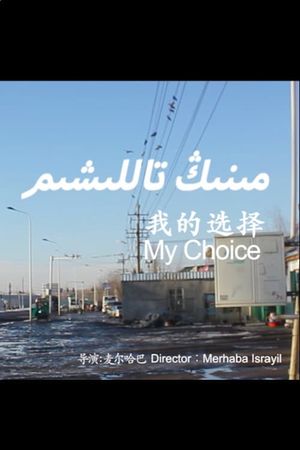 My Choice's poster image