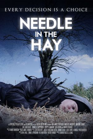 Needle in the Hay's poster image