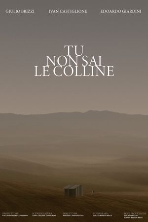 Tu non sai le colline's poster