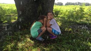 The Florida Project's poster