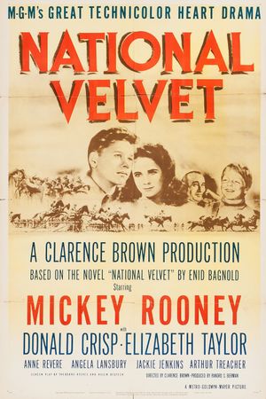 National Velvet's poster