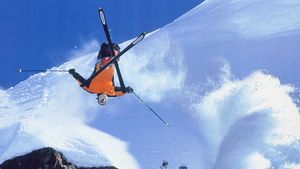 Freeriders's poster
