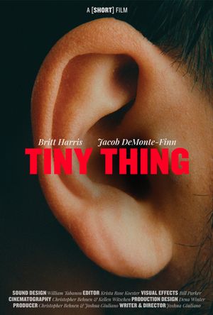 Tiny Thing's poster image