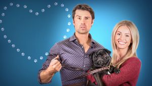 The Dog Lover's Guide to Dating's poster