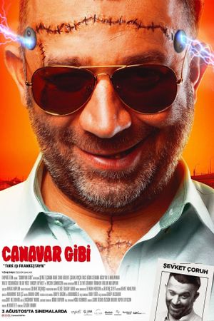 Canavar Gibi's poster