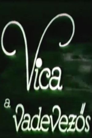 Vica the Canoeist's poster