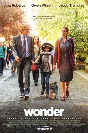 Wonder's poster