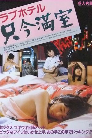 Love Hotel: No Vacancy's poster