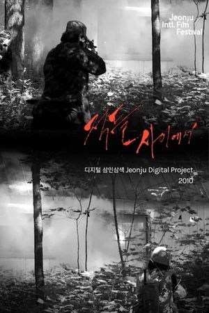 Among Enemies: Jeonju Digital Project 2010's poster