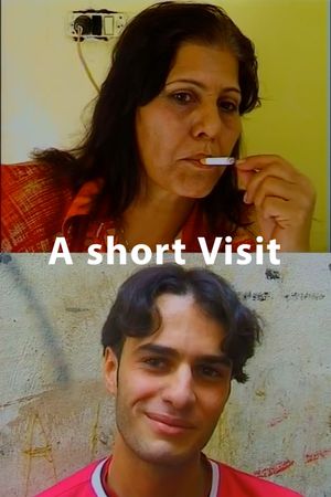 A short visit's poster