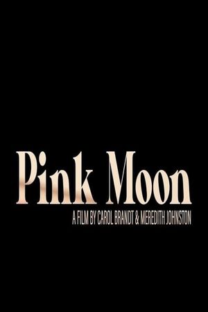 Pink Moon's poster