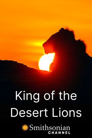 King of the Desert Lions's poster